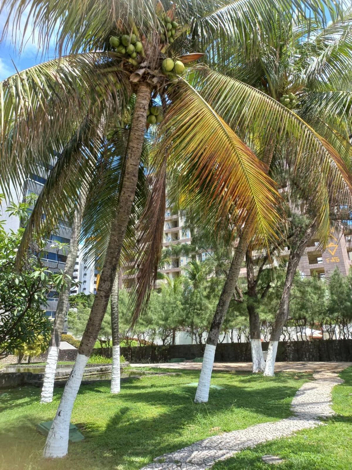 Golden Beach Flat Na Praia Piedade 热博阿陶 外观 照片